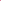 Fuchsia - front